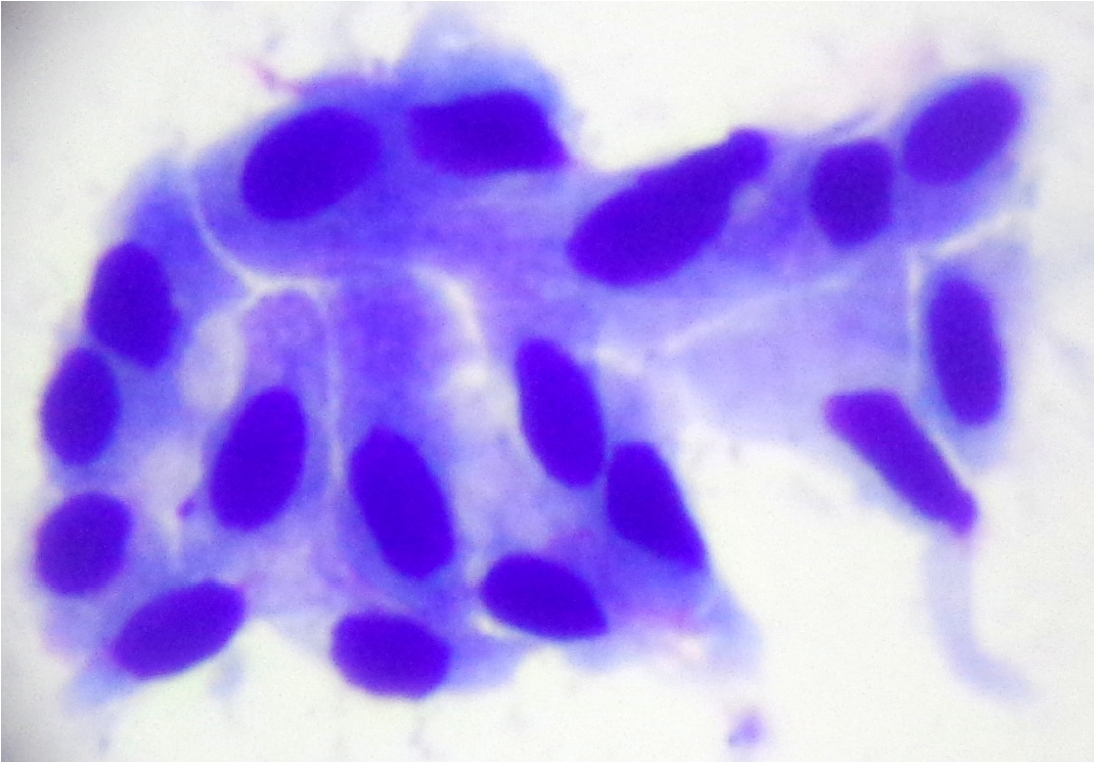 Fig. 2.