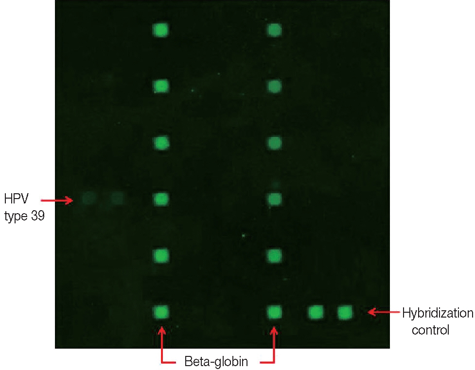 kjpathol-48-5-398f2.jpg